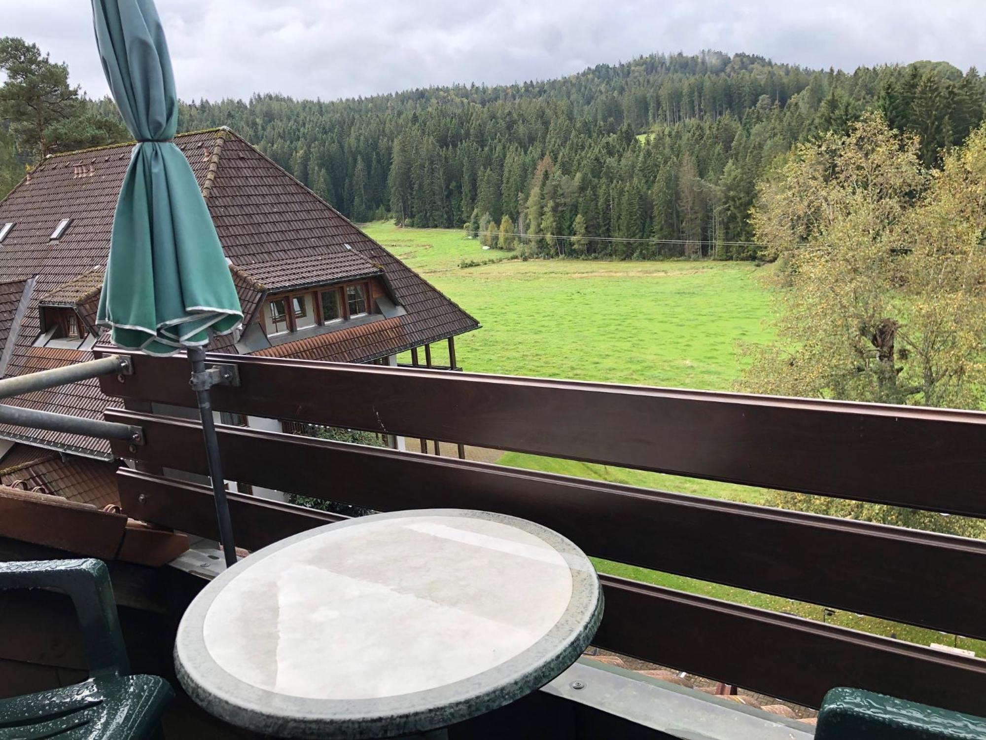 Ferienwohnung Hochschwarzwald Hinterzarten Esterno foto